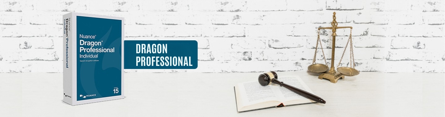 DRAGON PROFESSIONAL